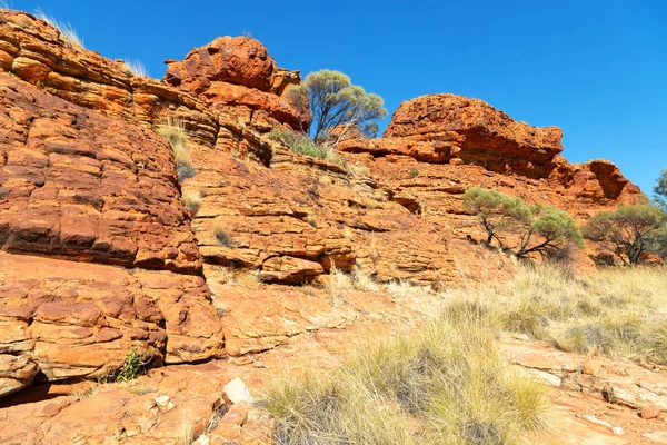 Os reis desfiladeiro natureza selvagem e outback — Fotografia de Stock