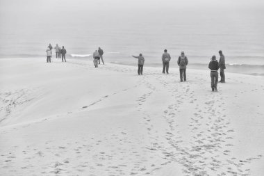 Güney Afrika'da sis ve insanlar kış Beach