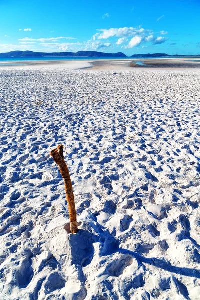 Spiaggia Nella Baia Paradisiaca Dell Isola Whitsunday Australia — Foto Stock