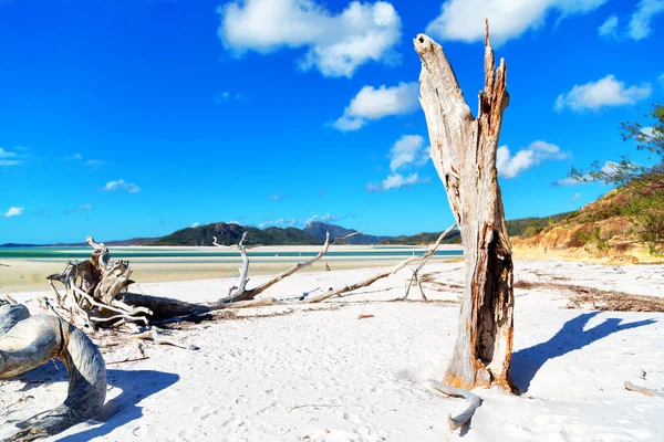 Beach Paradise Bay Whitsunday Island Australia — Stock Photo, Image