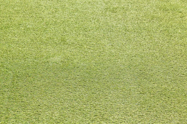 Абстрактный Текстурный Фон Травяного Поля Парке — стоковое фото
