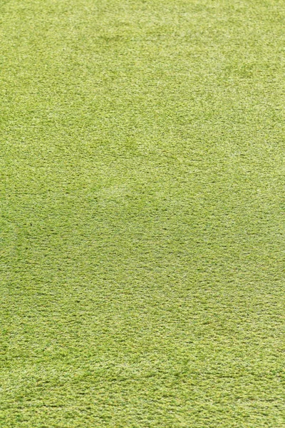 Абстрактный Текстурный Фон Травяного Поля Парке — стоковое фото