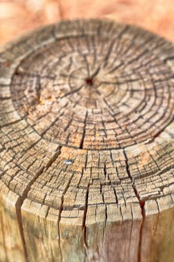 yüzey ağaç arka plan tahıl gibi soyut doku