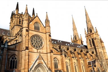 in  austalia  sydney the  antique  building cathedral st mary church clipart