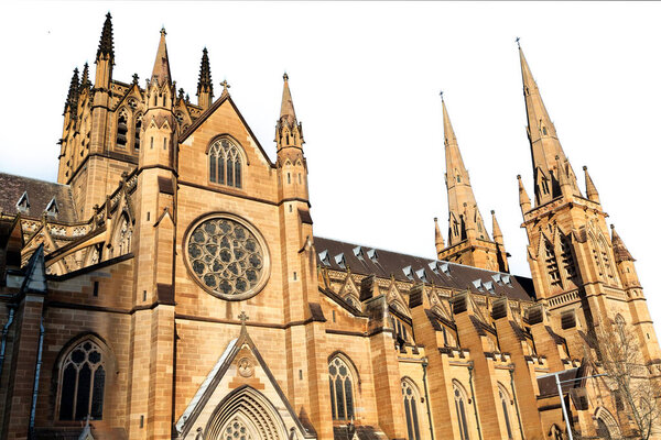 in  austalia  sydney the  antique  building cathedral st mary church