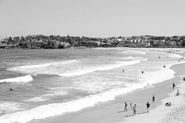 Australia Playa Turística Surfe — Foto de Stock