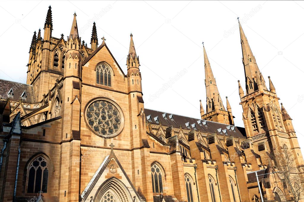 in  austalia  sydney the  antique  building cathedral st mary church