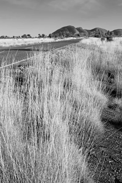 Austrália Conceito Ambiente Selvagem Outback Paisagístico — Fotografia de Stock