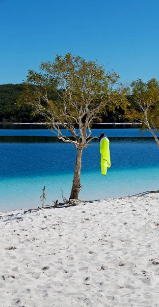 Austrálii Jezera Mckenzie Turistiky Stromu Relaxovat Ráji — Stock fotografie