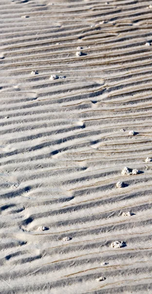 Australie Whitsunday Island Texture Abstraite Plage Sable Blanc — Photo