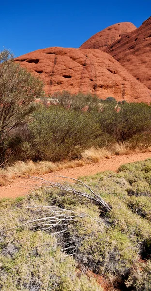 Australia Cañón Del Interior Árbol Muerto Cerca Montaña Naturaleza —  Fotos de Stock