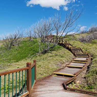 Avustralya plaj Hervey Bay Fraser ada geçit cennet kavramı gibi ve rahatla
