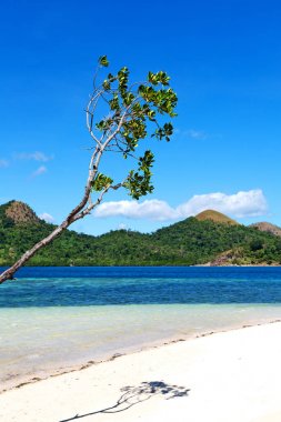 Filipinler'de ada güzel cosatline tree Hill'e ve tekne turist için