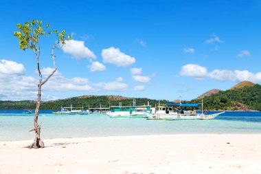 Filipinler'de ada güzel cosatline tree Hill'e ve tekne turist için