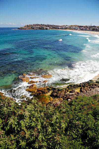 in  australia  the beach tourist and surfe