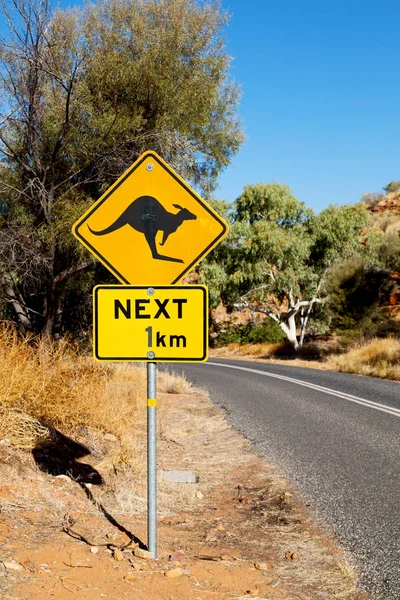 Jel Vad Kenguru Likee Koncepció Biztonság Ausztráliában — Stock Fotó