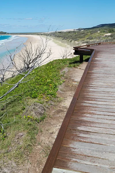 Ausztráliában Sétány Strand Hervey Bay Fraser Sziget Mint Paradicsom Fogalmát — Stock Fotó