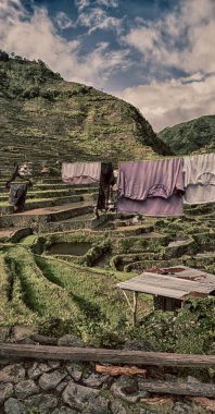 Banaue Unesco sitesinden pirinç elde etmek için Filipinler teras sahasında bulanıklık