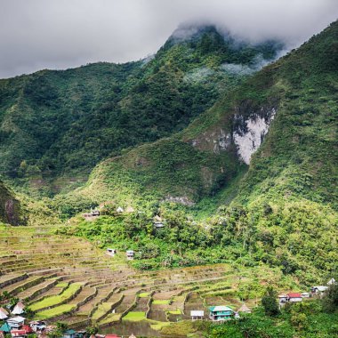 Banaue Unesco sitesinden pirinç elde etmek için Filipinler teras sahasında bulanıklık