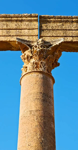 Jerash Jordan Antigua Columna Sitio Arqueológico Patrimonio Clásico Para Turista —  Fotos de Stock