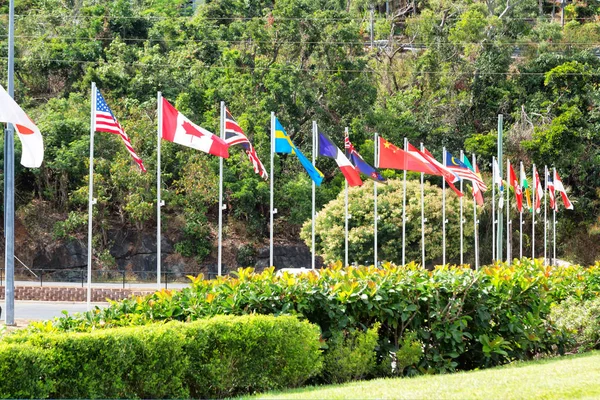 Austrália Lotes Bandeira Mundo Parque Urso Árvore — Fotografia de Stock