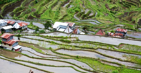 Borrão Campo Terraço Filipinas Para Coultivation Arroz Site Unesco Banaue — Fotografia de Stock