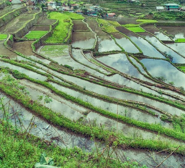 Desenfoque Filipinas Terraza Campo Para Coultivation Arroz Banaue Unesco Sitio —  Fotos de Stock