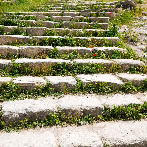 ヨルダン旧式な放棄の花と草 Stairwais — ストック写真