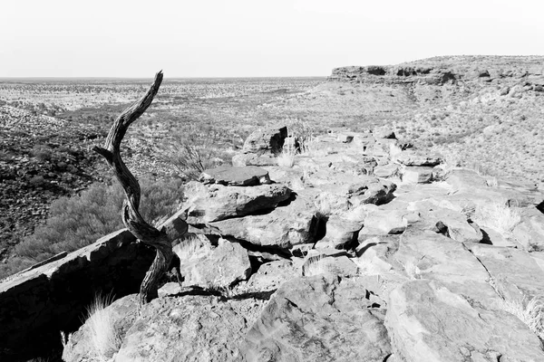 Austrália Reis Canyon Natureza Selvagem Outback — Fotografia de Stock