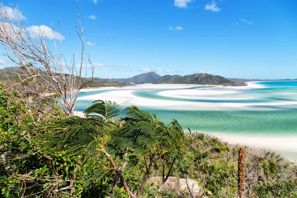Australia Beach Whitsunday Island Paradise Concept Relax — Stock Photo, Image