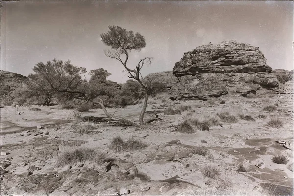 Austrálii Kings Canyon Přírodě Divoké Outback — Stock fotografie