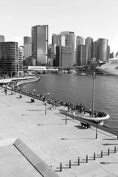 在澳大利亚悉尼的看法从海湾摩天大楼和房子 — 图库照片