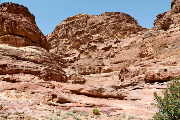 Grav Den Antika Platsen Petra Jordanien Den Vackra Undrar Worl — Stockfoto