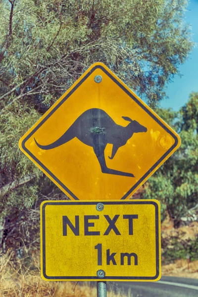Ausztráliában a jel, a vad kenguru — Stock Fotó