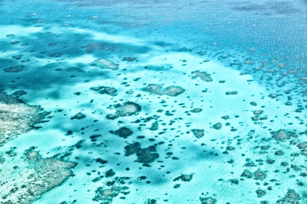 Grote Reef Uit Hoge Australië Natuurpark Concept Van Paradijs Stockafbeelding