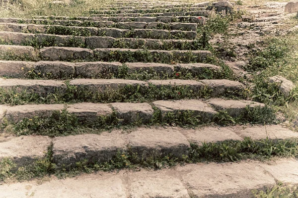 花と草とアンティークの放棄 stairwais — ストック写真