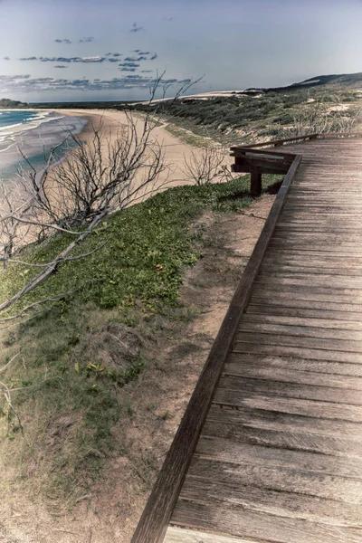 In australia  the  walkway to the beach — Stock Photo, Image