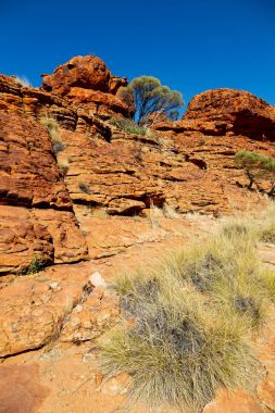  Kral Kanyonu doğa vahşi ve taşra