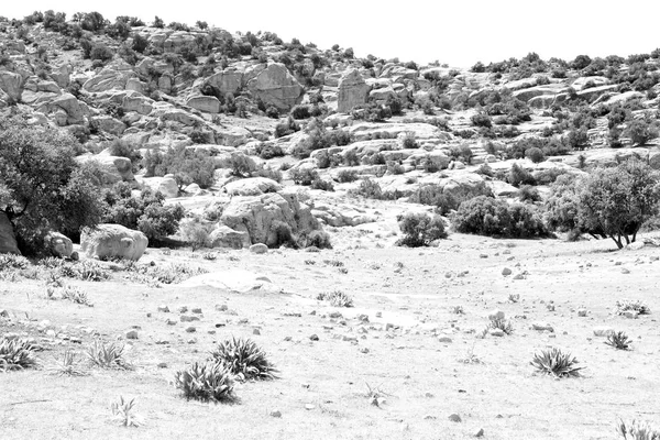 Jordanië Schilderachtige Vallei Van Dana Natuurlijke Natuurgebied Wandelen — Stockfoto