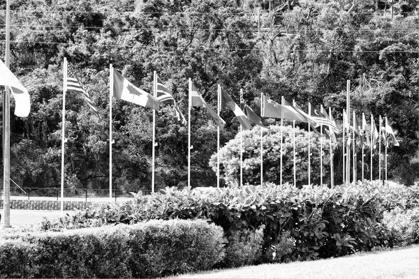 Australien Viele Weltflaggen Park Bärenbaum — Stockfoto