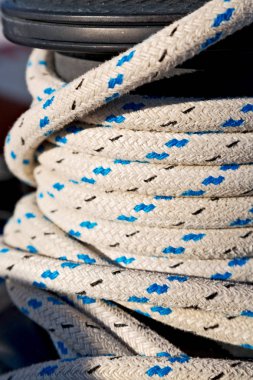 Gezinti whit vassel ip kavramı 