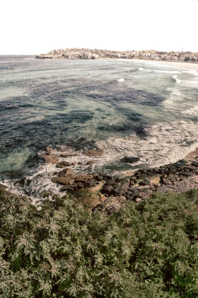 Avustralya, Sydney-Ağustos 2017 kimliği belirsiz kişi ve surf yaklaşık — Stok fotoğraf