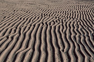 Avustralya Whitsunday Adası ve doku soyut beyaz Beach