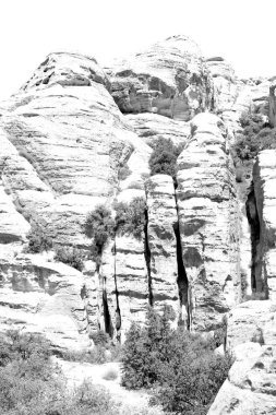 Jordan'ın doğal Vadisi, dana doğal rezerv yürümek için