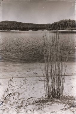 Avustralya Gölü mckenzie turizmde ağaç ve cennet