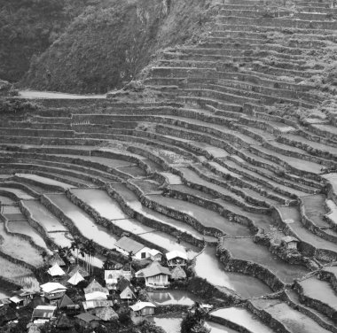 Banaue Unesco sitesinden pirinç elde etmek için Filipinler teras sahasında bulanıklık