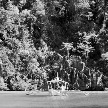 güzel cennet Körfezi ve tropikal bir uçurumun üzerinden Filipinler görünümünde lagoon