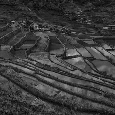 Banaue Unesco sitesinden pirinç elde etmek için Filipinler teras sahasında bulanıklık