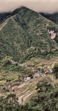 Banaue Unesco sitesinden pirinç elde etmek için Filipinler teras sahasında bulanıklık