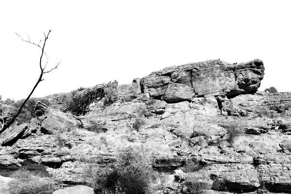 Os reis desfiladeiro natureza selvagem e outback — Fotografia de Stock